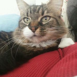 Meet your Posher, Cecilia